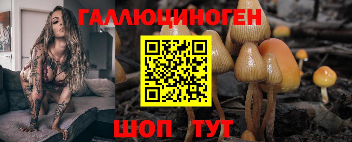 Псилоцибиновые грибы Psilocybe Верхняя Пышма